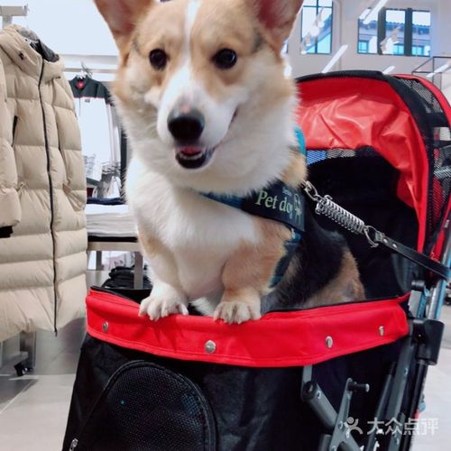 奕欧来奥特莱斯图片